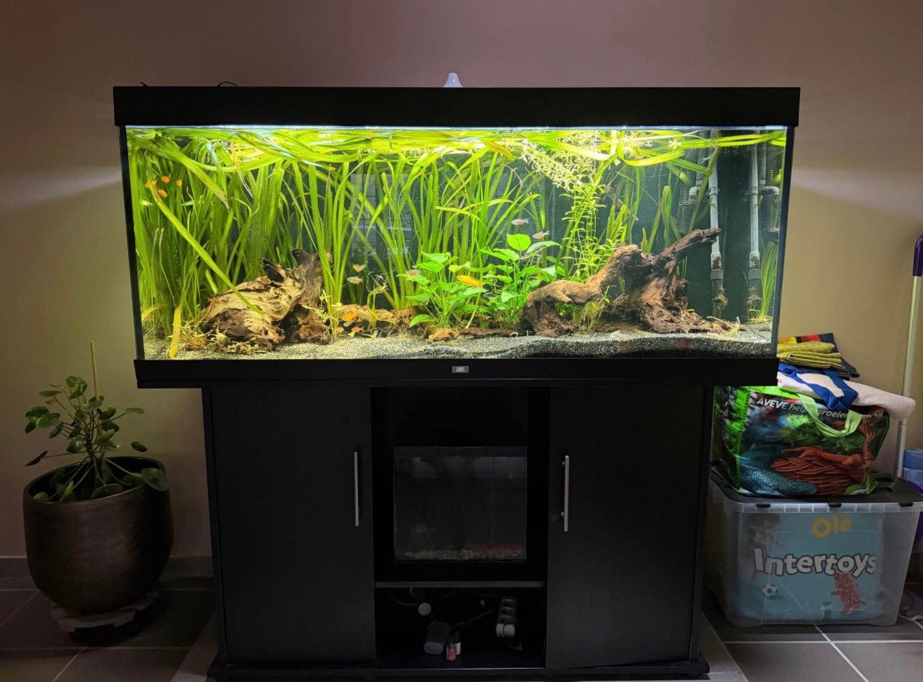 Juwel Rio 440 + kast ( prijs bespreekbaar), Dieren en Toebehoren, Ophalen, Zo goed als nieuw, Eheim