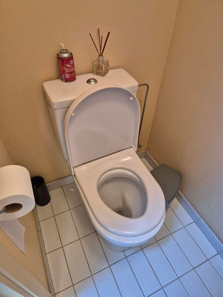 Toilet + meubel + spiegel, Ophalen, Toilet