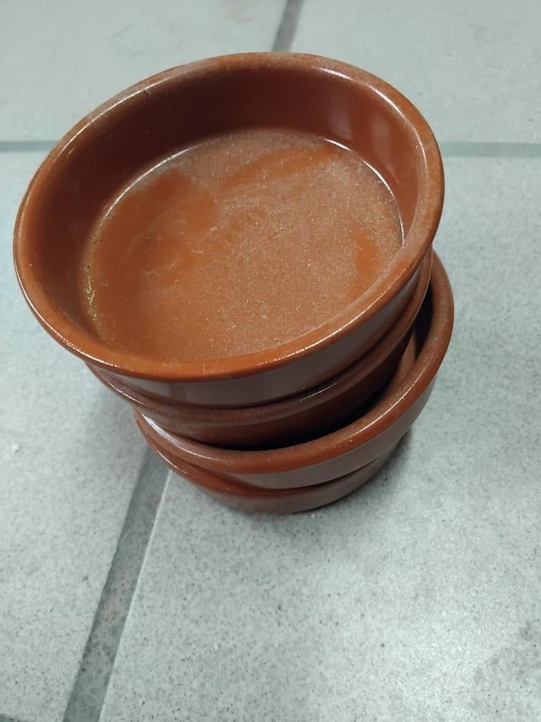 6 gamelles terrarium en terre cuite 11cm., Enlèvement ou Envoi