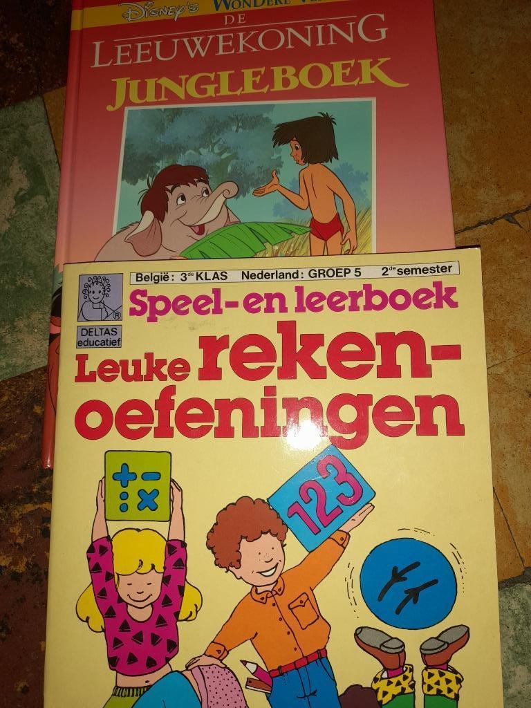 Livre néerlandais, Enlèvement ou Envoi, Comme neuf, Néerlandais
