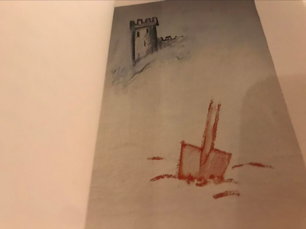 Peintures de Walter Swennen 80 pages, Enlèvement ou Envoi, Comme neuf, Peinture et dessin