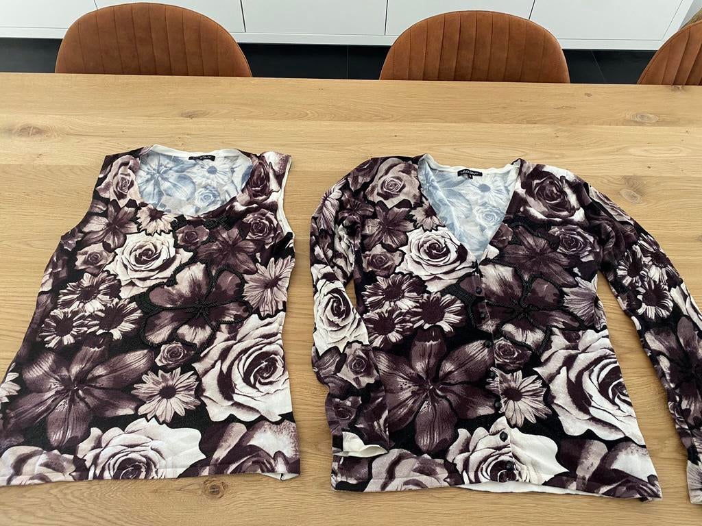 Setje van topje en gilet, Kleding | Dames, Ophalen, Zo goed als nieuw, Maat 42/44 (L)