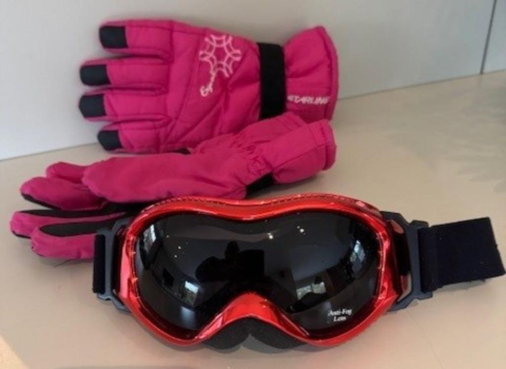 skibril en -handschoenen, Sport en Fitness, Ophalen, Zo goed als nieuw, Ski, Overige merken