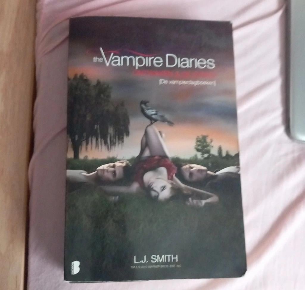 Boek vampire diaries, Ophalen of Verzenden