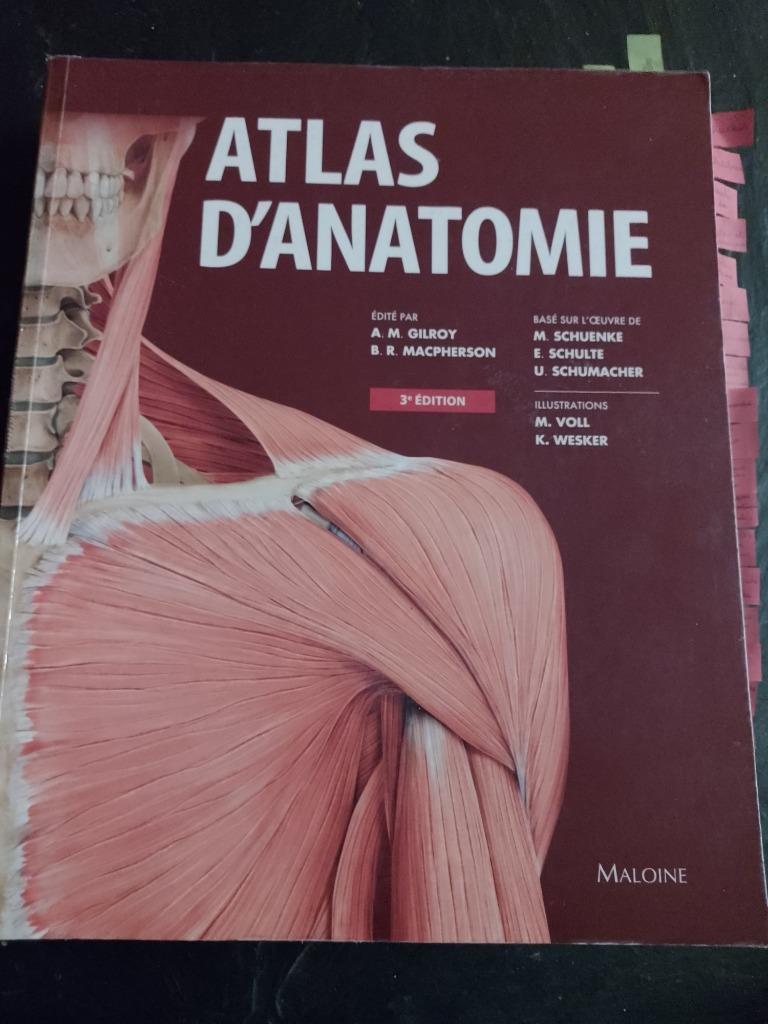 Atlas d'anatomie 3ème édition (Maloine), Livres, Enlèvement ou Envoi, Comme neuf, Enseignement supérieur, Maloine