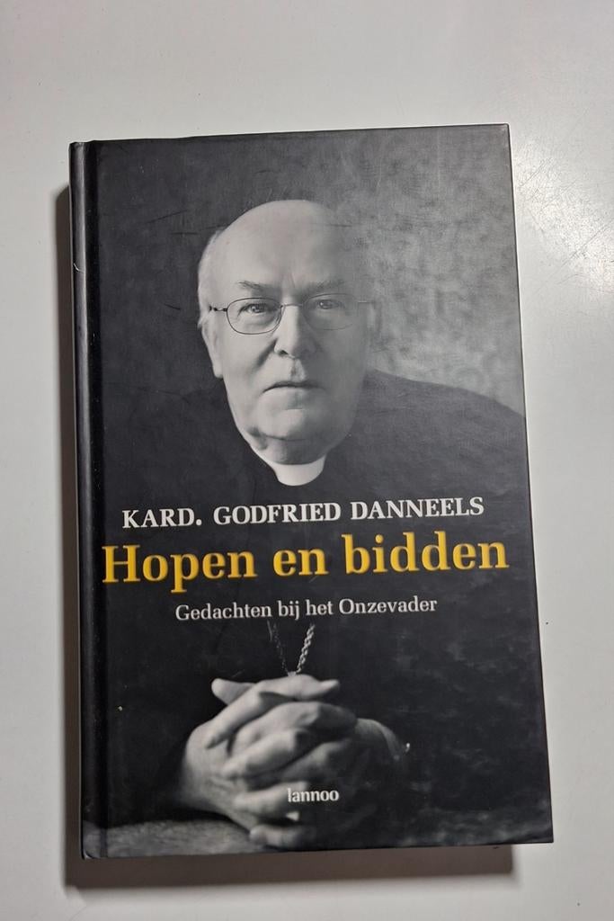 G. Danneels - Hopen en bidden, Ophalen of Verzenden, Zo goed als nieuw, G. Danneels