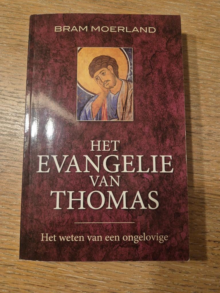 Boek Het evangelie van Thomas, Boeken, Ophalen of Verzenden, Zo goed als nieuw, Bram Moerland, Christendom | Katholiek