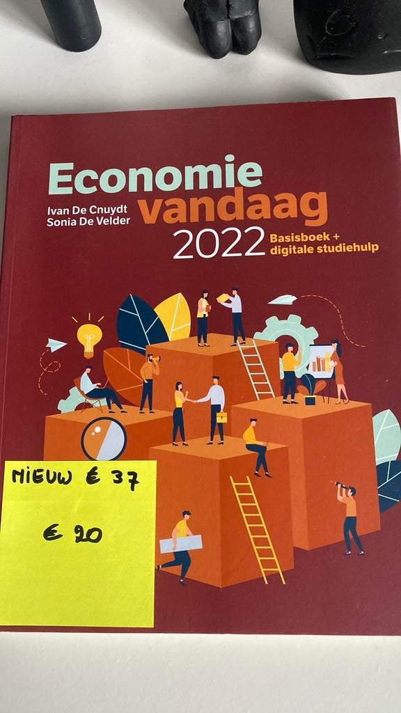 Boek Economie vandaag, Ophalen, Zo goed als nieuw, Economie