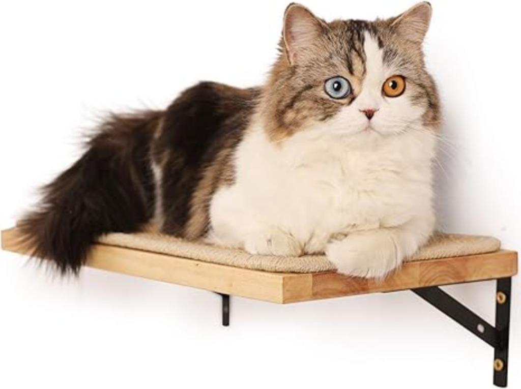 étagère murale avec tapis à gratter pour chats | bois d'hévé, Neuf, Griffoir, -, -