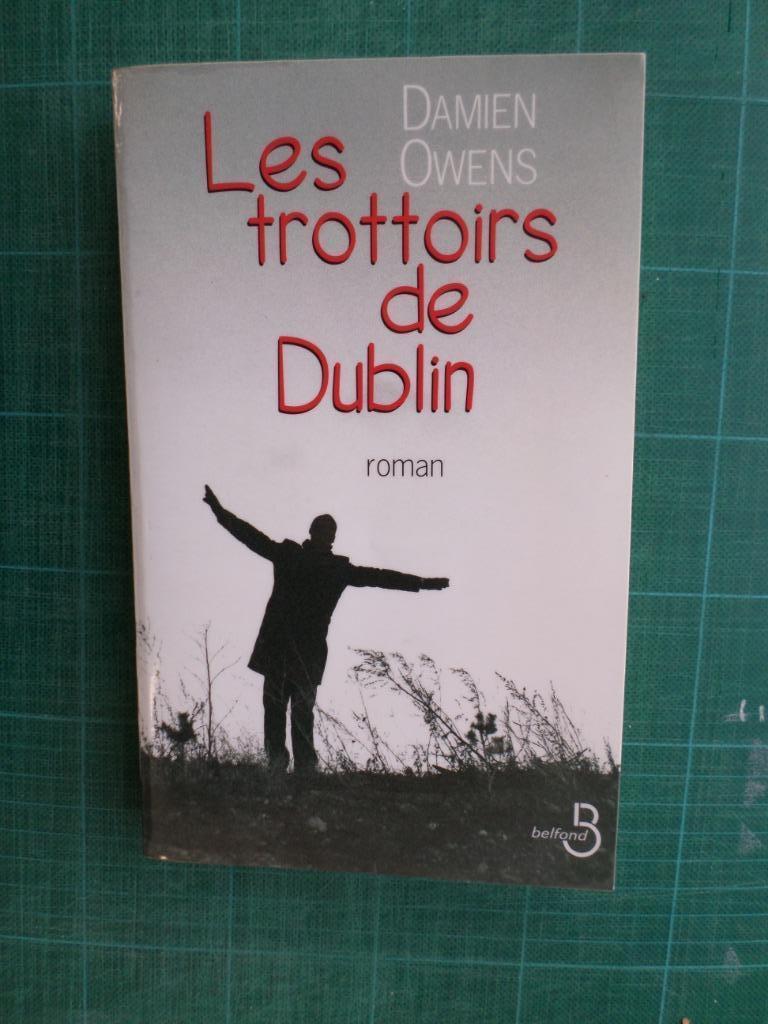 Les trottoirs de Dublin (Damien Owens) – 2002 – 353 pages, Enlèvement ou Envoi, Comme neuf, Europe autre, Damien Owens