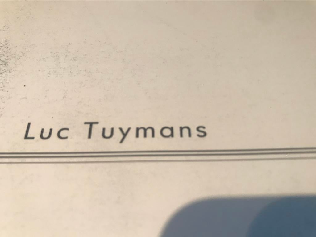 Luc Tuymans Schilderijen 60pag eerste boekje, Boeken, Ophalen of Verzenden, Zo goed als nieuw, Schilder- en Tekenkunst