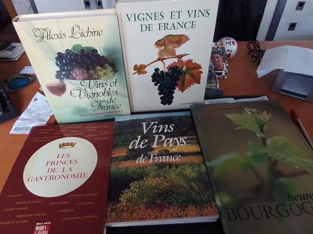 Lot de 5 livres sur le vin. 40€, Livres, Enlèvement