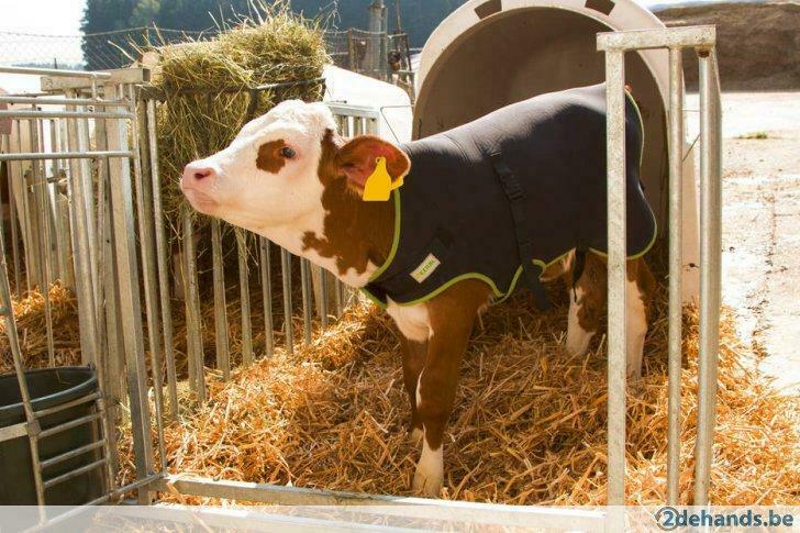 Kalverdeken,  Agrodieren de beste prijzen, Zakelijke goederen, Landbouw | Werktuigen, Veehouderij, Overige typen, Ophalen of Verzenden