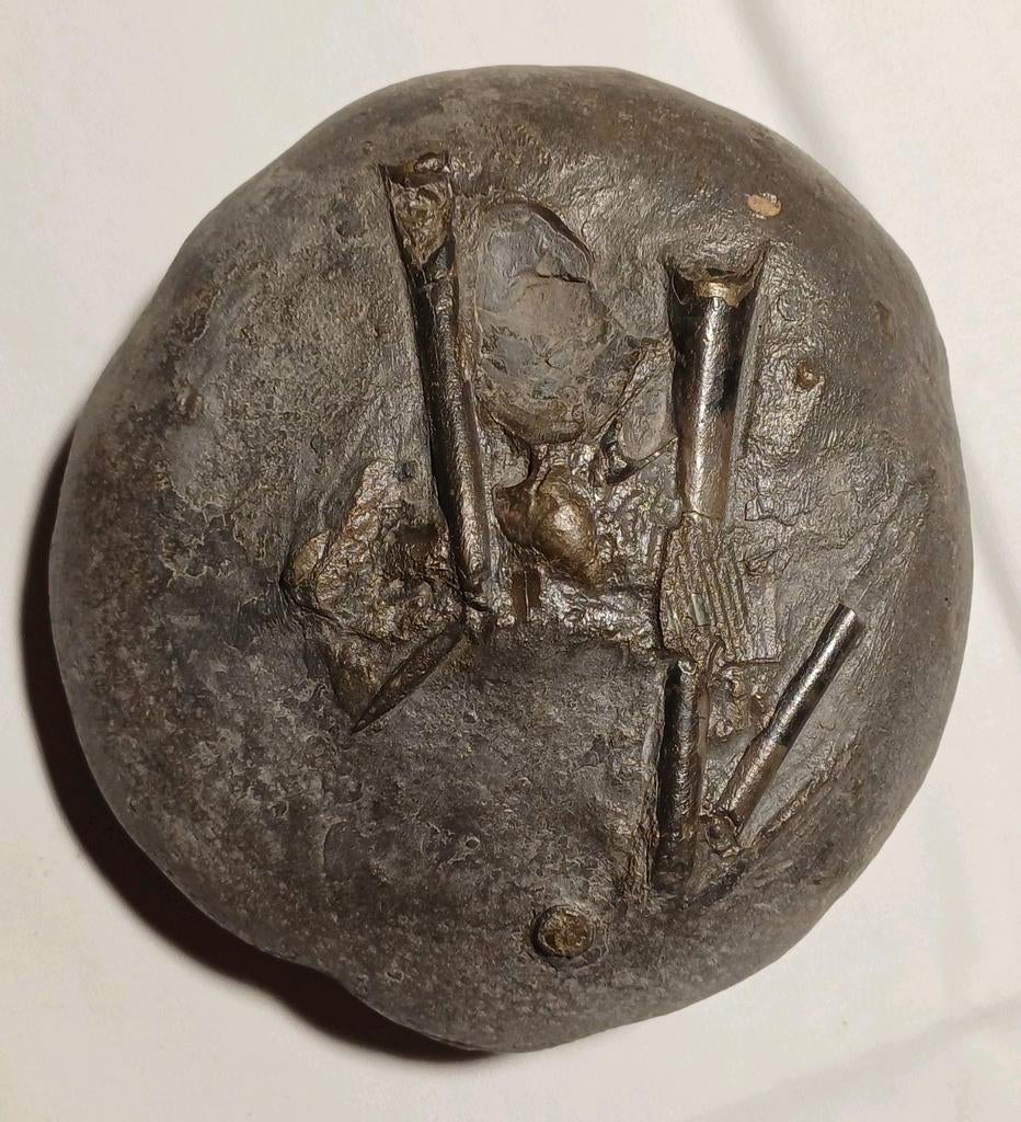 Petit lit de mortuaire de bélemnites d'Angleterre - calmars, Collections, Enlèvement ou Envoi, Fossile