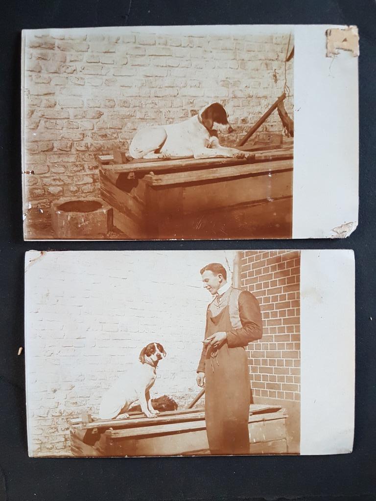 2x fotokaart Man met hond Chien Jack Russel, Envoi, Avant 1920, Non affranchie, Chien ou Chat