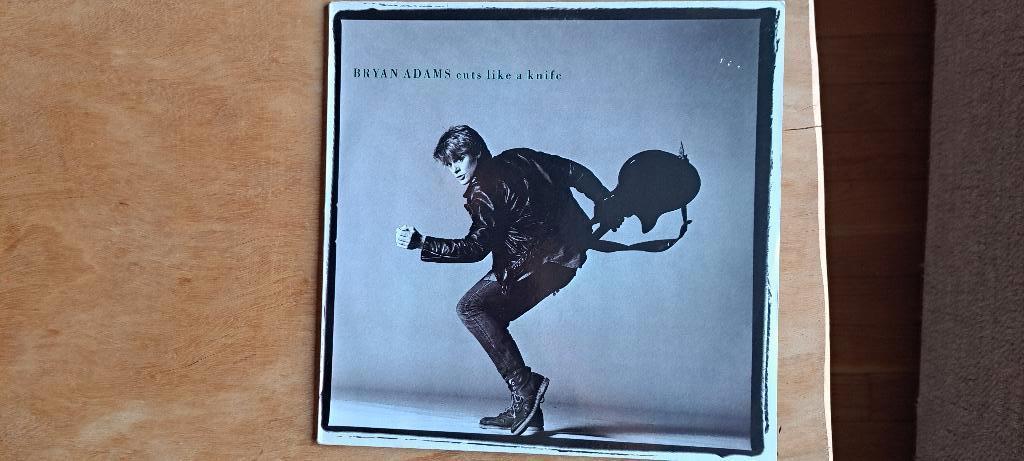 Lp BRYAN ADAMS, Ophalen of Verzenden, Zo goed als nieuw