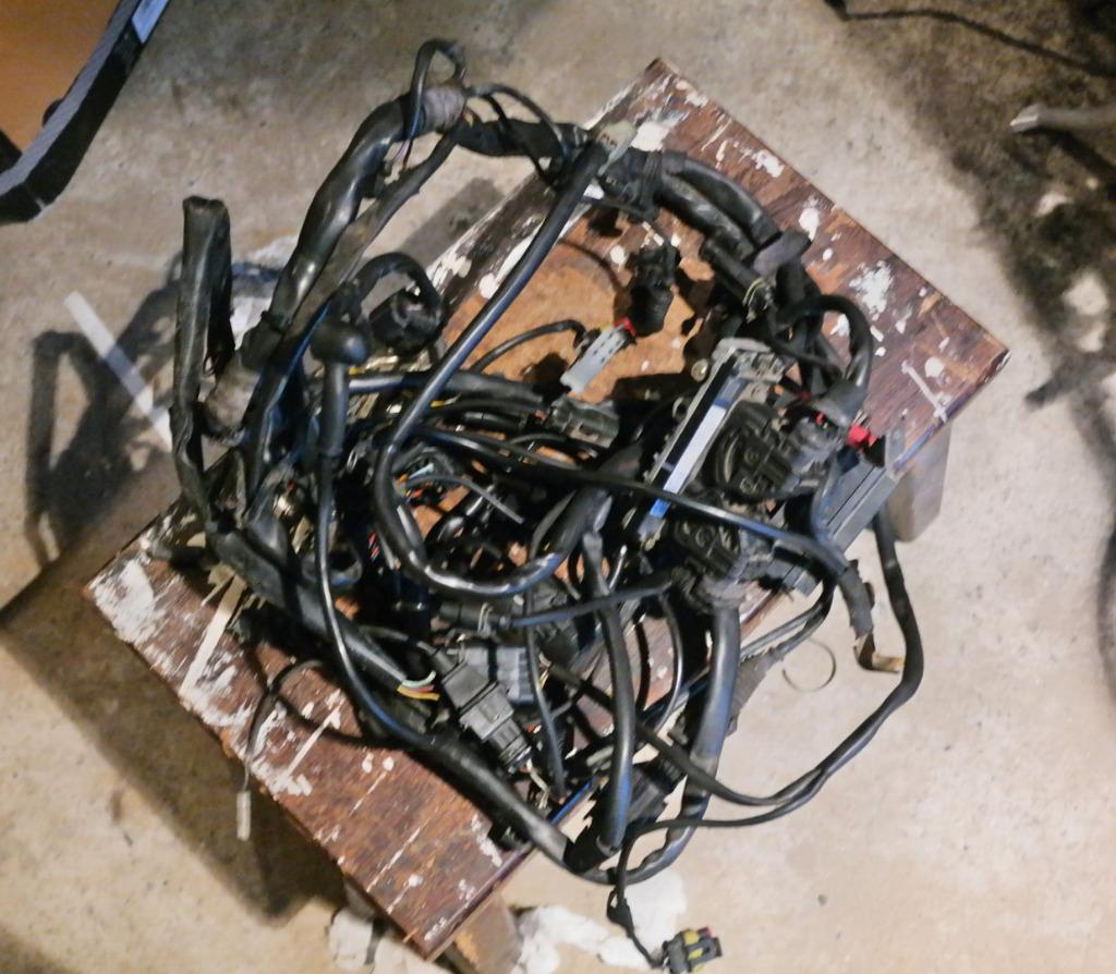 Ducati Monster S2R-800 - Kabelboom, Ophalen of Verzenden, Gebruikt