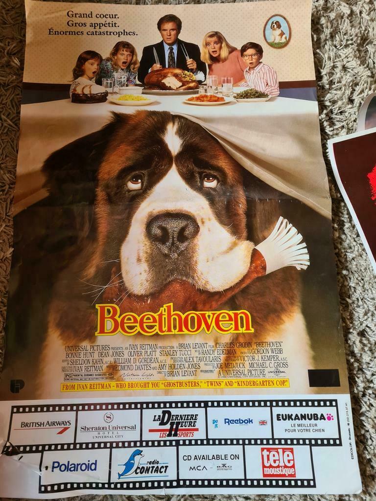 Beethoven-poster., Ophalen of Verzenden, Zo goed als nieuw