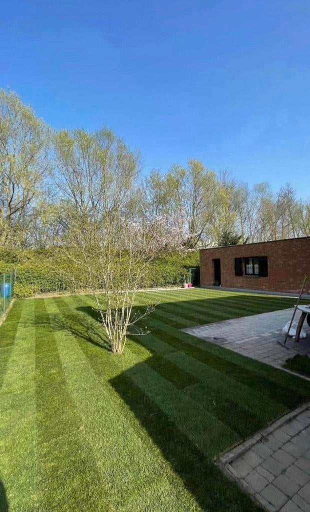 Jardinier & clôture