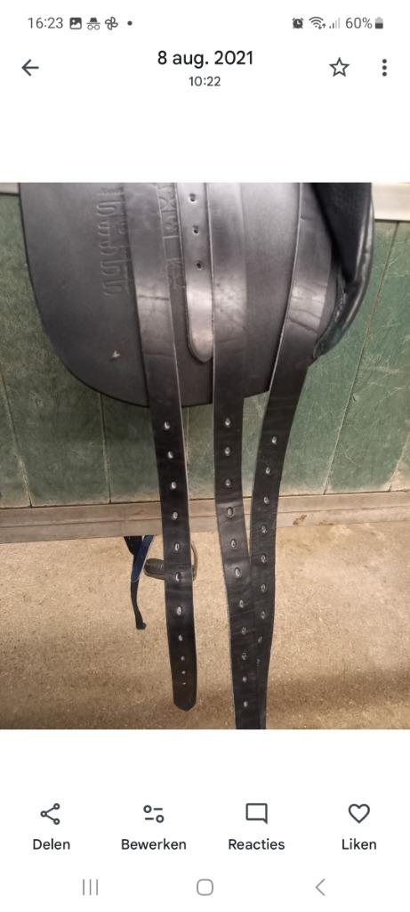 Selles, Enlèvement, Comme neuf, Dressage