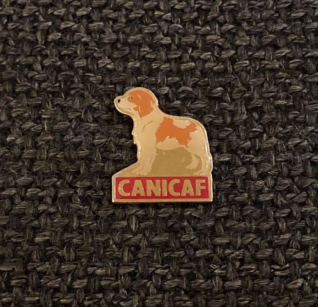 PIN - CANICAF - HOND - CHIEN - DOG, Verzenden, Gebruikt, Dier of Natuur, Speldje of Pin