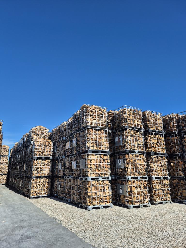 BRANDHOUT Eik en Beuk uit de stam, Diversen, Ophalen of Verzenden