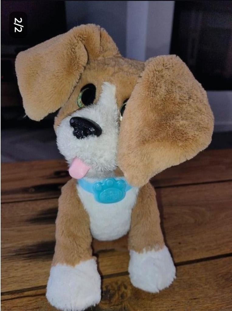 FurReal speelgoed hondje, Enlèvement