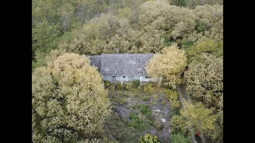 Landelijk huis te koop – geen verkeer, Immo, Buitenland, 40 m², Dorp, 3 kamers, Tengelic