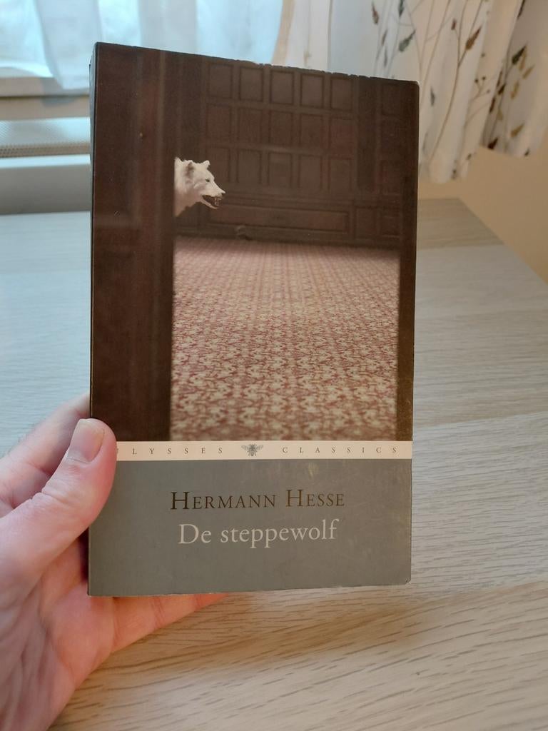 Hermann Hesse - De steppewolf, Ophalen of Verzenden, Hermann Hesse