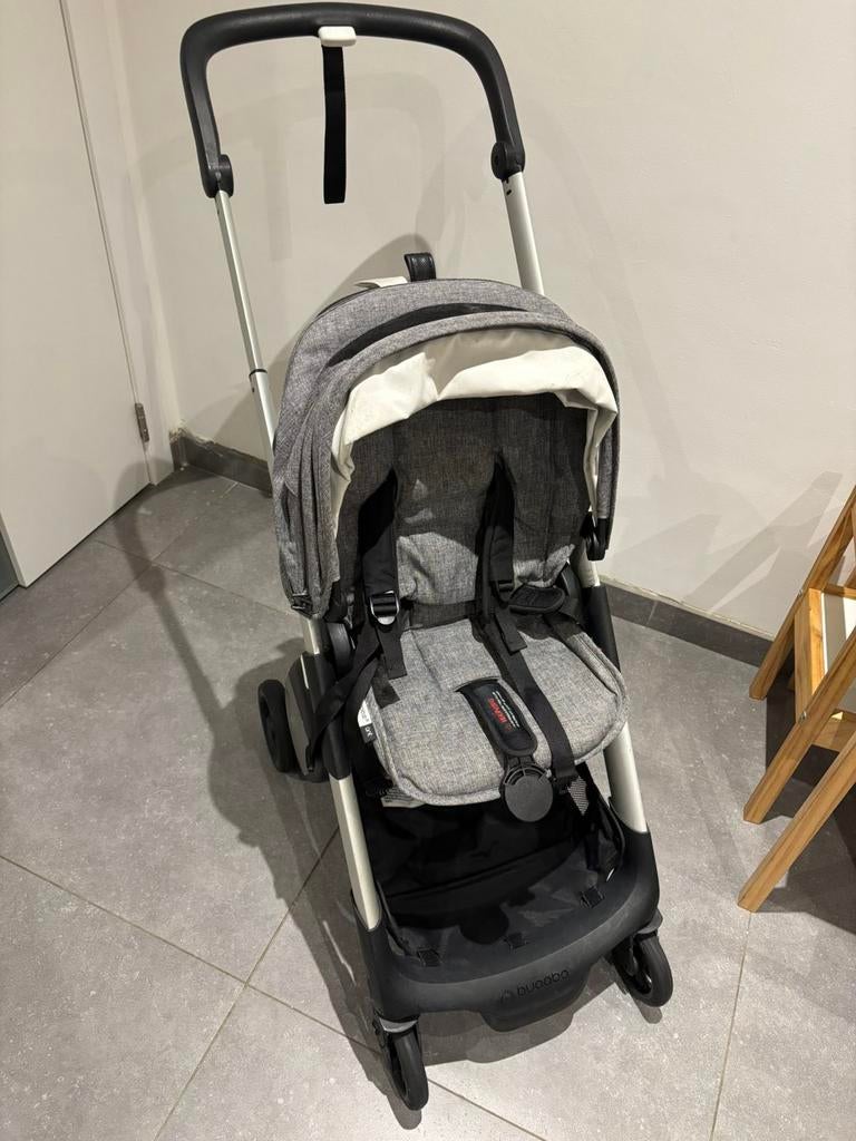 Bugaboo ant, Enlèvement