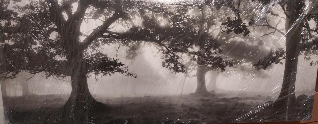 TABLEAU IKEA FORET, Maison & Meubles, Accessoires pour la Maison | Tableaux d'affichage, Enlèvement, Comme neuf