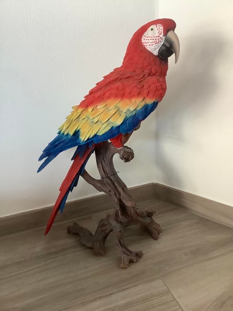 Beeld van geelvleugelara zittend op tak, Tuin en Terras, Tuinbeelden, Ophalen, Nieuw, Dierenbeeld