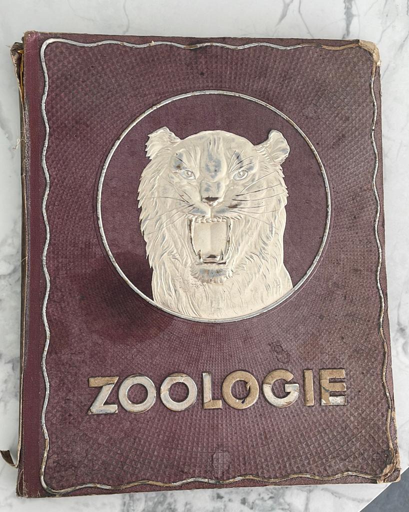 Zoo, Ophalen of Verzenden