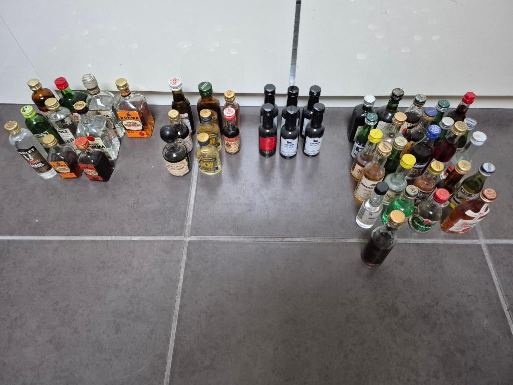 50 zeldzame sterke drank flesjes, Verzamelen, Ophalen of Verzenden, Zo goed als nieuw, Borrel- of Shotglas