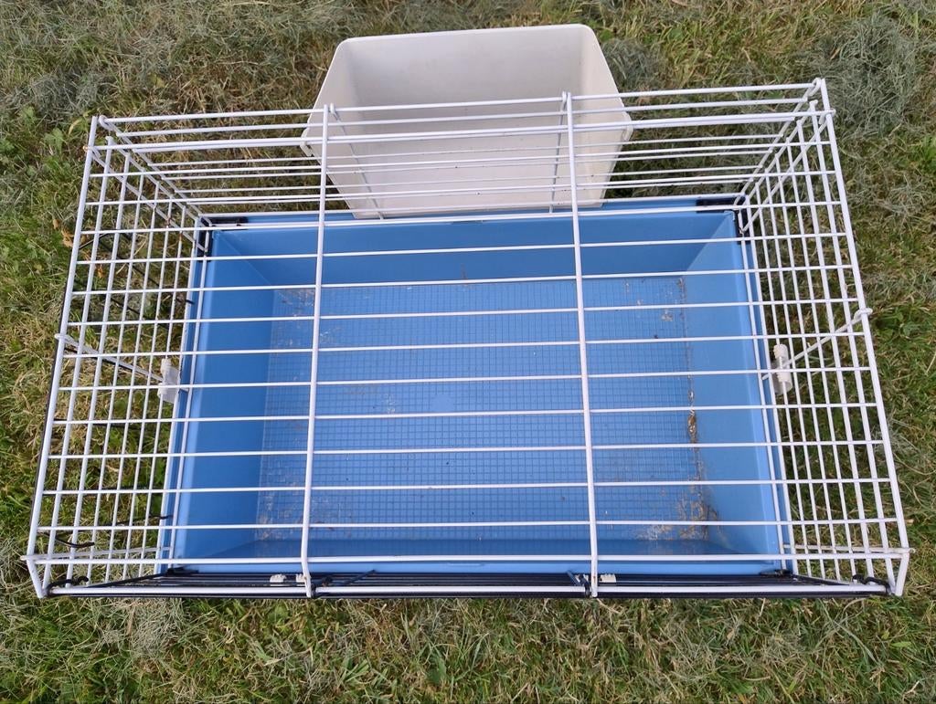 Cage Ferplast pour petit rongeur, Animaux & Accessoires, Moins de 60 cm, Cage, Utilisé, Cobaye