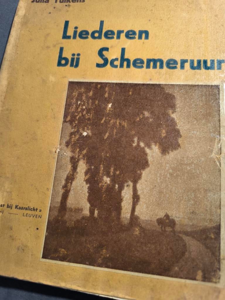 Liederen bij schemermuur, Ophalen of Verzenden