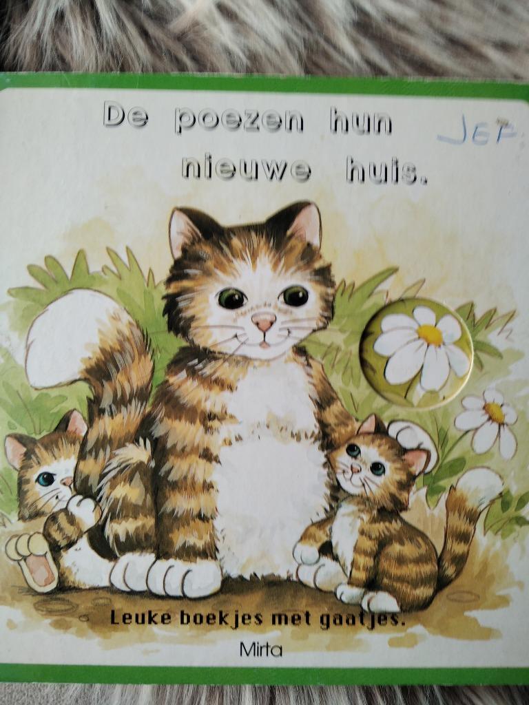 Eerste leesboekjes, Ophalen of Verzenden, Gelezen