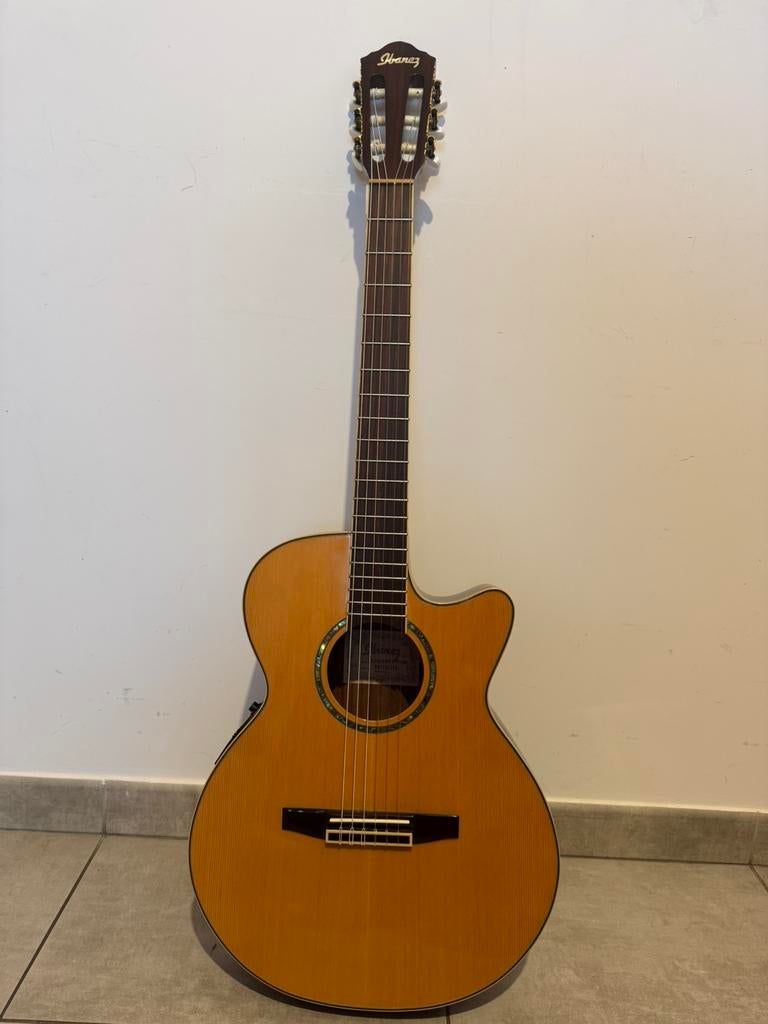 Guitare électro-acoustique Ibanez AEG10N, Muziek en Instrumenten, Ophalen, Gebruikt