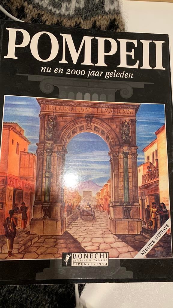 Pompeii, Boeken, Ophalen of Verzenden, Zo goed als nieuw, Europa