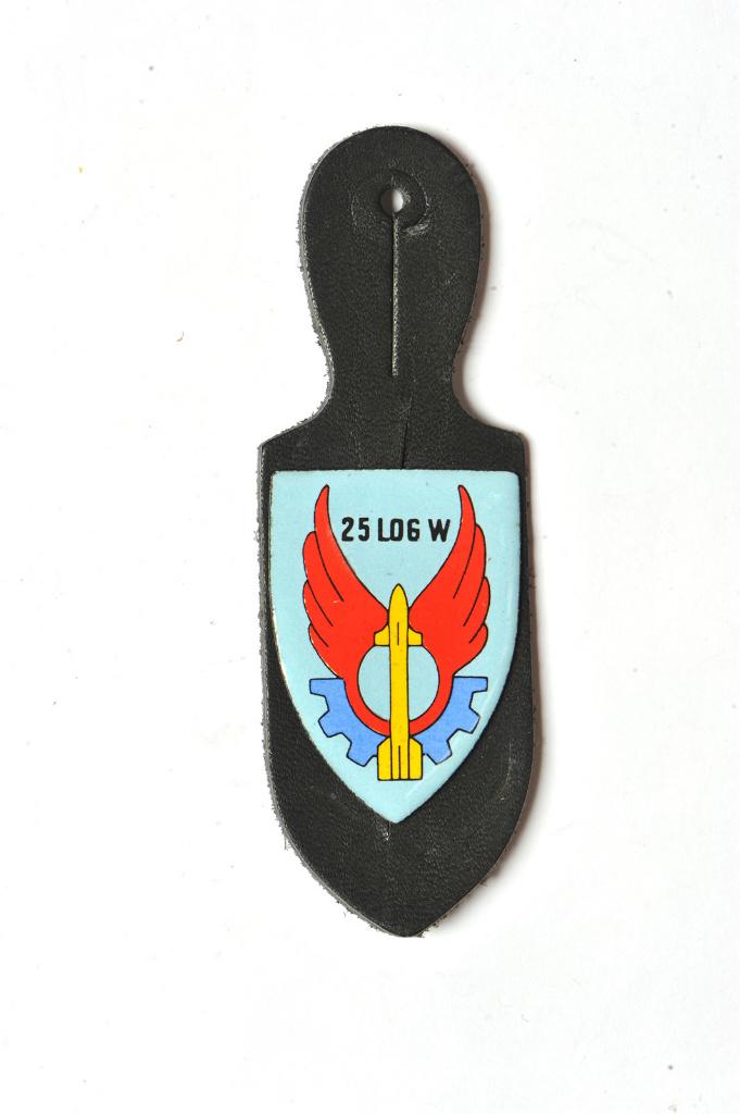 25 Log Wing - Borsthanger (1), Verzamelen, Verzenden, Luchtmacht, Lintje, Medaille of Wings