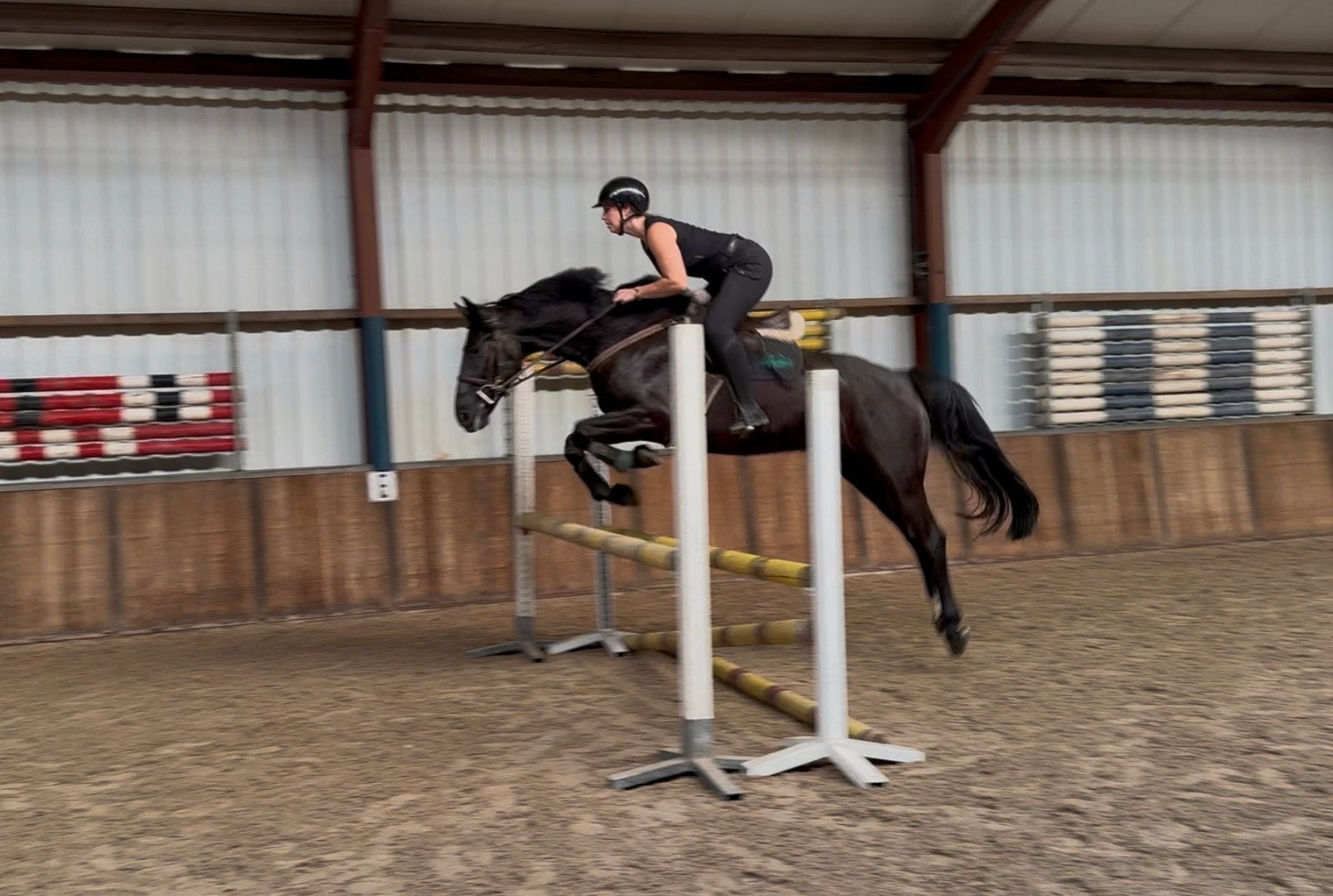 Gave allrounder met een fijn karakter!, Dieren en Toebehoren, Springpaard, Ruin, 7 tot 10 jaar, 160 tot 165 cm