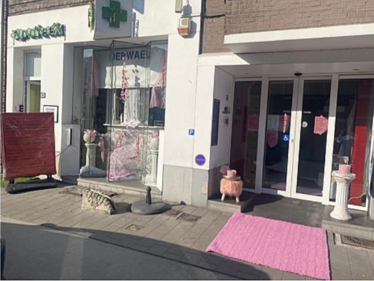Investering, huis, appartement, project, woonst, handel, Immo, Maisons à vendre, Province du Brabant flamand, 500 à 1000 m², Maison Bi-familiale ou Jumelée