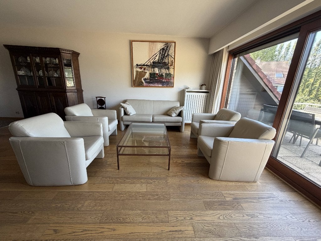 Salon, Ophalen, Zo goed als nieuw, Leer, Modern