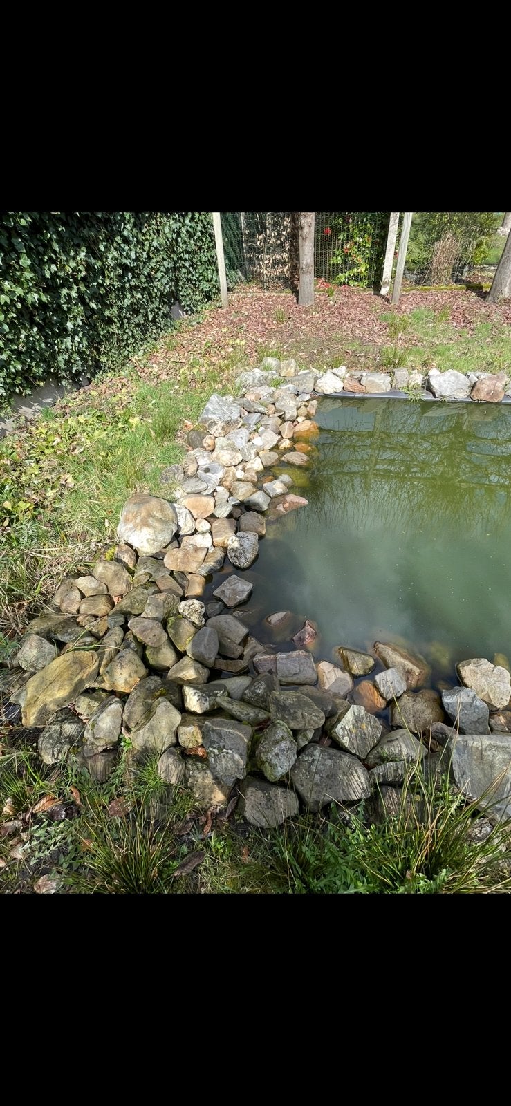 Gratis stenen vijver, Tuin en Terras, Grind, Keien en Split, Ophalen, Overige materialen, Gebruikt, Kei