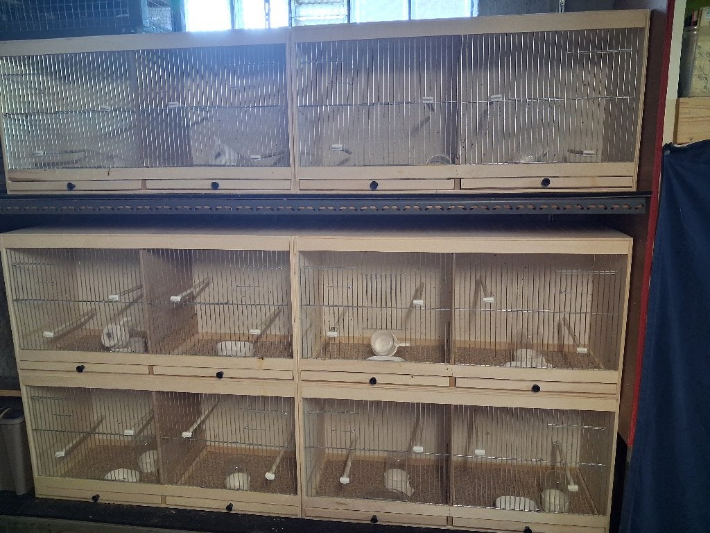 kweekkooien, Enlèvement, Comme neuf, Bois, Cage d'élevage