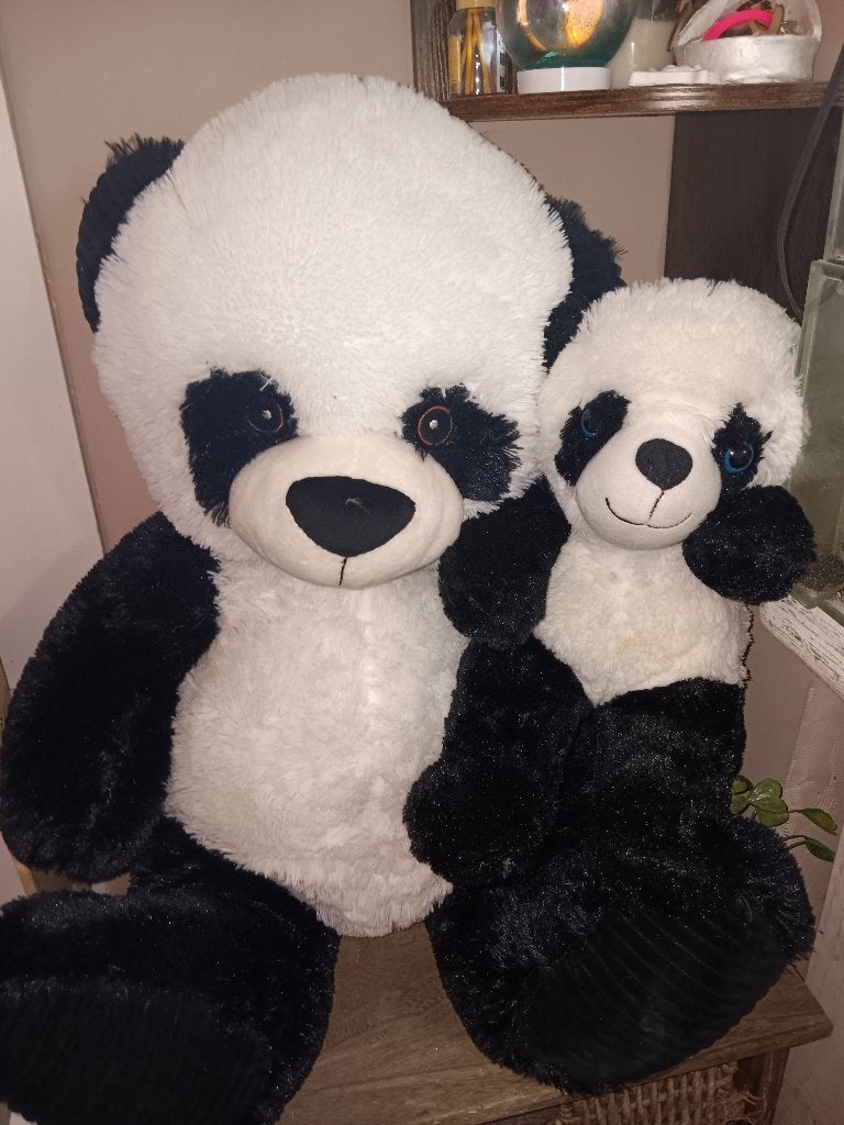 Beren panda nieuw met ticket aan, Enlèvement, Ours