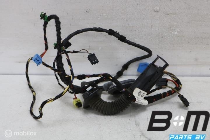 Kabelboom voor Portier rechts VW Golf 7 5G3971121FP, Gebruikt