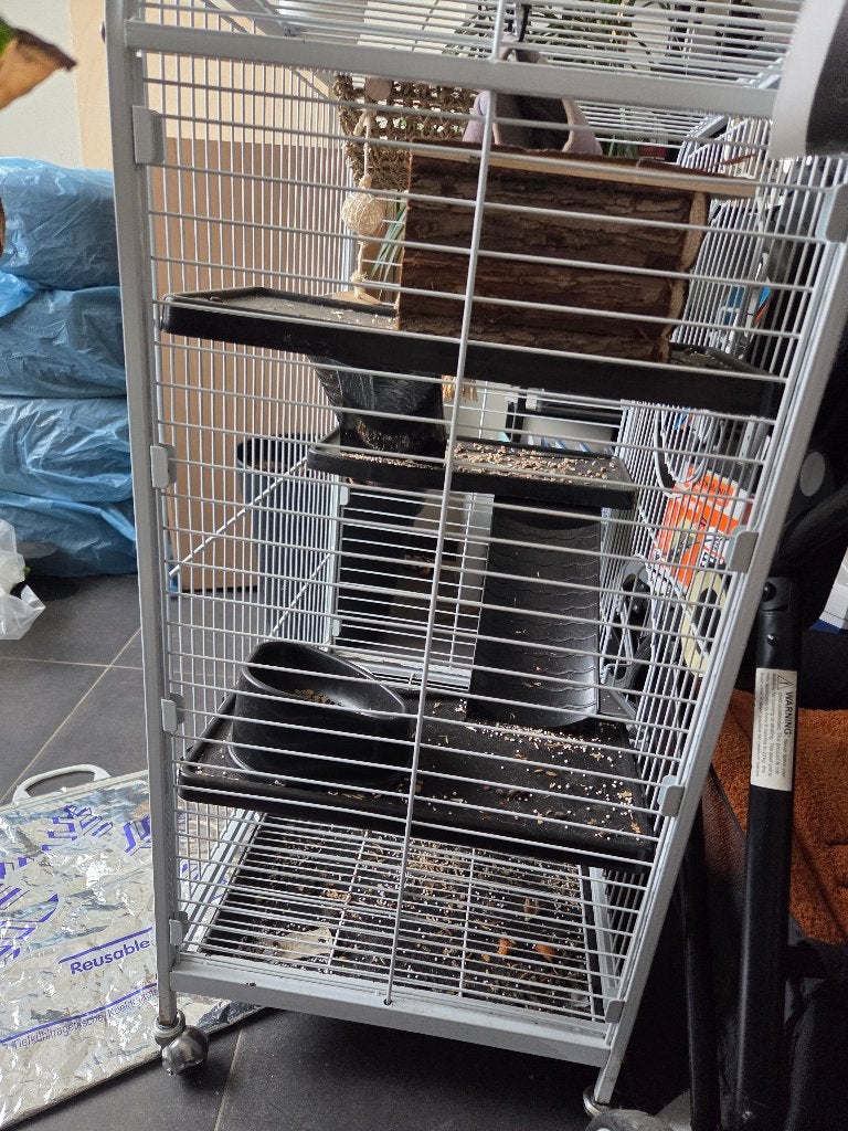 Rattenkooi, Ophalen, Kooi, Gebruikt, Minder dan 75 cm