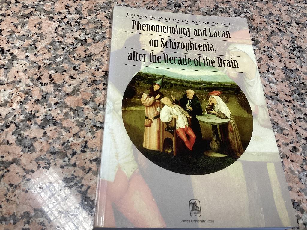 Phenomenology and Lacan on SCHIZOPRENIA, after the Decade, Boeken, Ophalen of Verzenden, Zo goed als nieuw, Geesteswetenschap
