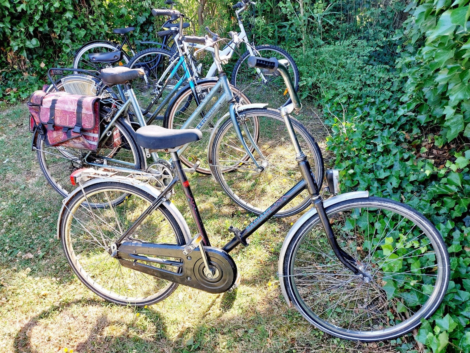 Lot de vieux vélos, Enlèvement